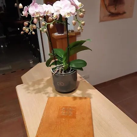 Hotel Bruno - In - Out