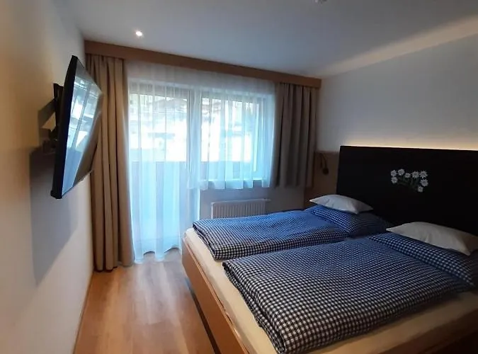 Bruno - In - Out Hotel